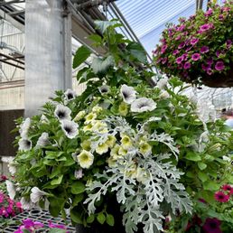 Flower baskets