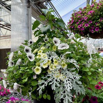 Echter's Nursery & Garden Center - Flower baskets - Nurseries & Gardening Near Me - Arvada, Colorado