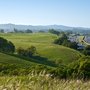 Foug Properties - Property Management
