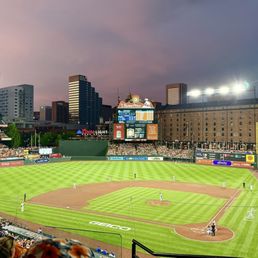 Section 242 for a weeknight game. Section 242 for a weeknight game.