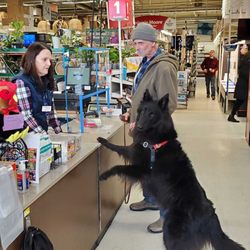 Junction Ace Hardware - We are dog friendly. woof!