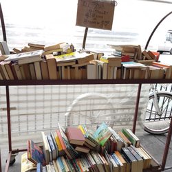 Syber's Books - Bargain books for sale