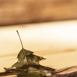 Kelo Spa & Steam - Sauna Experience like no other