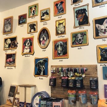 Meat - Pet Stores Near Me - Portland, Oregon