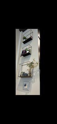 Portal Tea by null