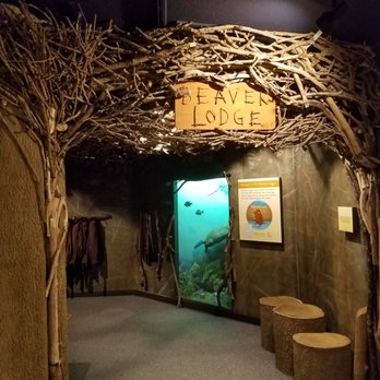 RMSC Museum & Science Center - Museums Near Me - Rochester, New York RMSC Museum & Science Center - Museums Near Me - Rochester, New York