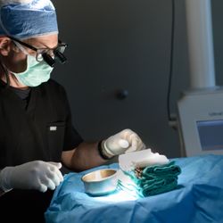 Brian S. Biesman, M.D