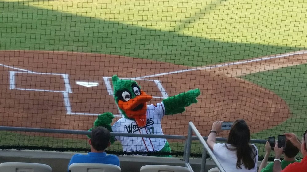 KINSTON INDIANS BASEBALL CLUB 400 E Grainger Ave, Kinston, North