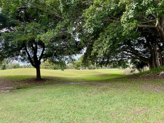 Deer Creek Golf Club by null