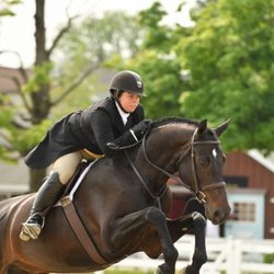 Meadowview Farm - Sorrento jumping in great style at Devon