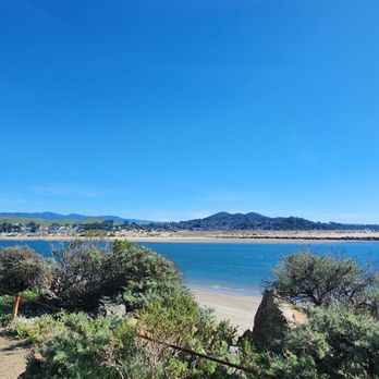 Morro Bay State Park - Beaches Near Me - Morro Bay, California Morro Bay State Park - Beaches Near Me - Morro Bay, California
