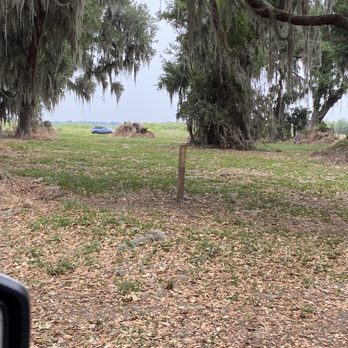 John's Lake Conservation Area - Parks Near Me - Winter Garden, Florida