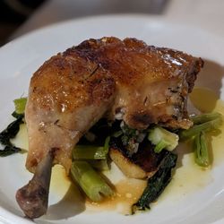 Ox And Finch - Chicken leg confit with oregano chimichurri
