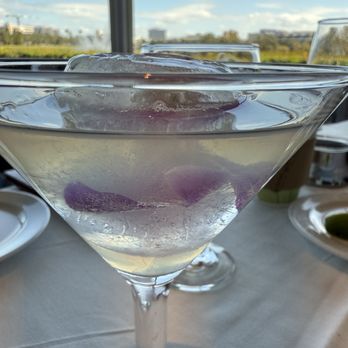 Ocean Prime - Seafood Near Me - Tampa, Florida