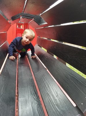 Siegel's Cottonwood Farm by null