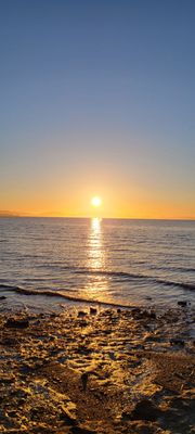 Leila by the Bay by null