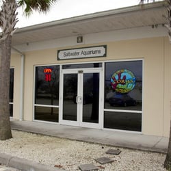 Treasure Coast Corals