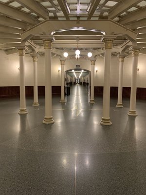 Michigan State Capitol by null