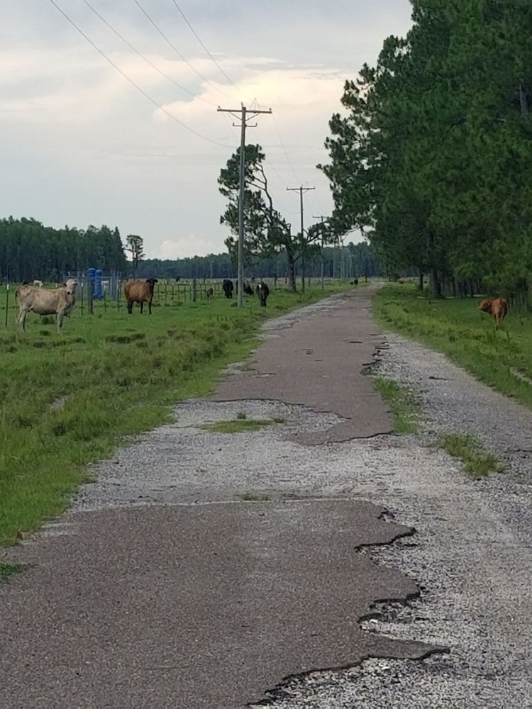 Lake Frances Nature Preserve - equestrian in Odessa, FL