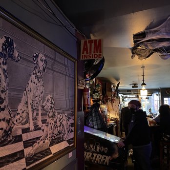 The Done Right Inn - dalmatian dogs in a bar - Dive Bars Near Me - Toronto, Ontario