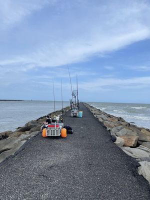 Huntington Beach State Park by null