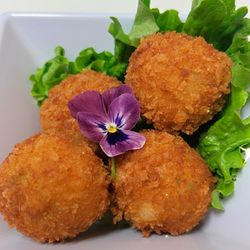 Sabor Do Nordeste