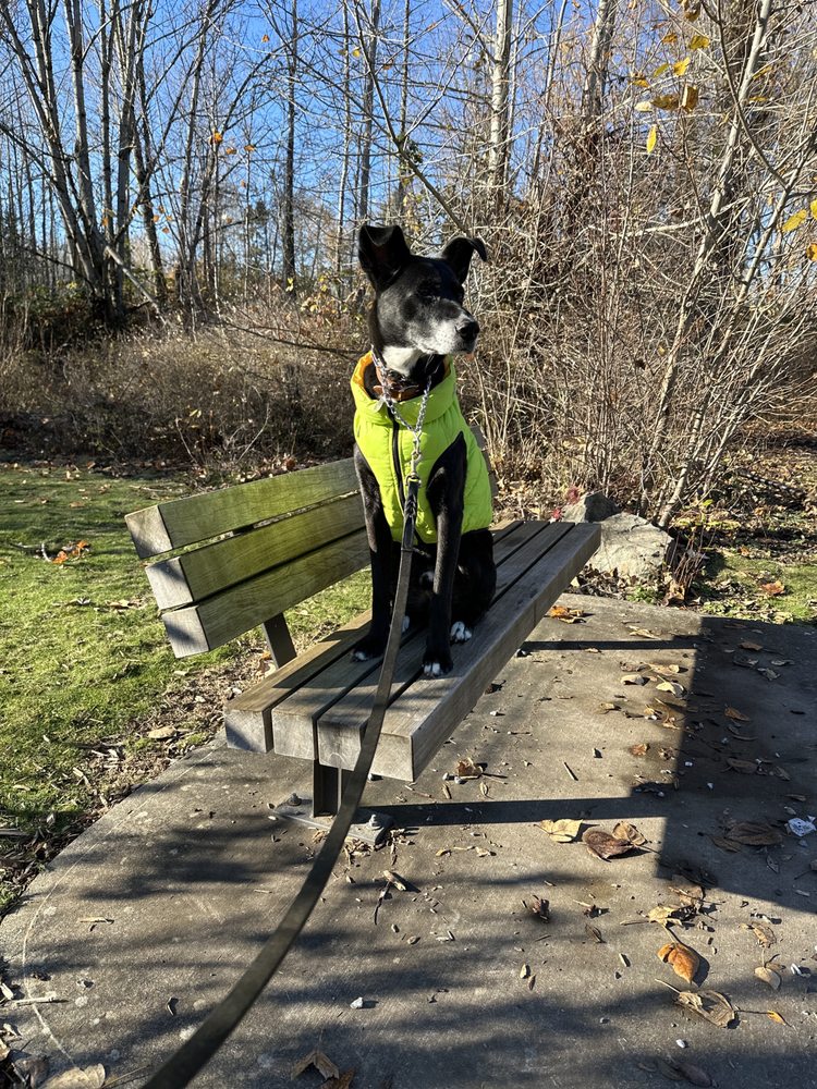 Julianna Park Image