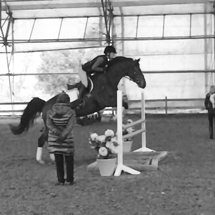 Leone Equestrians - equestrian in Sacramento, CA