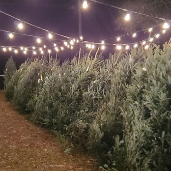 River Road Tree Company - Christmas Trees Near Me - Charleston, South Carolina River Road Tree Company - Christmas Trees Near Me - Charleston, South Carolina