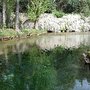 Photo of Parco Storico Fonti del Clitunno
