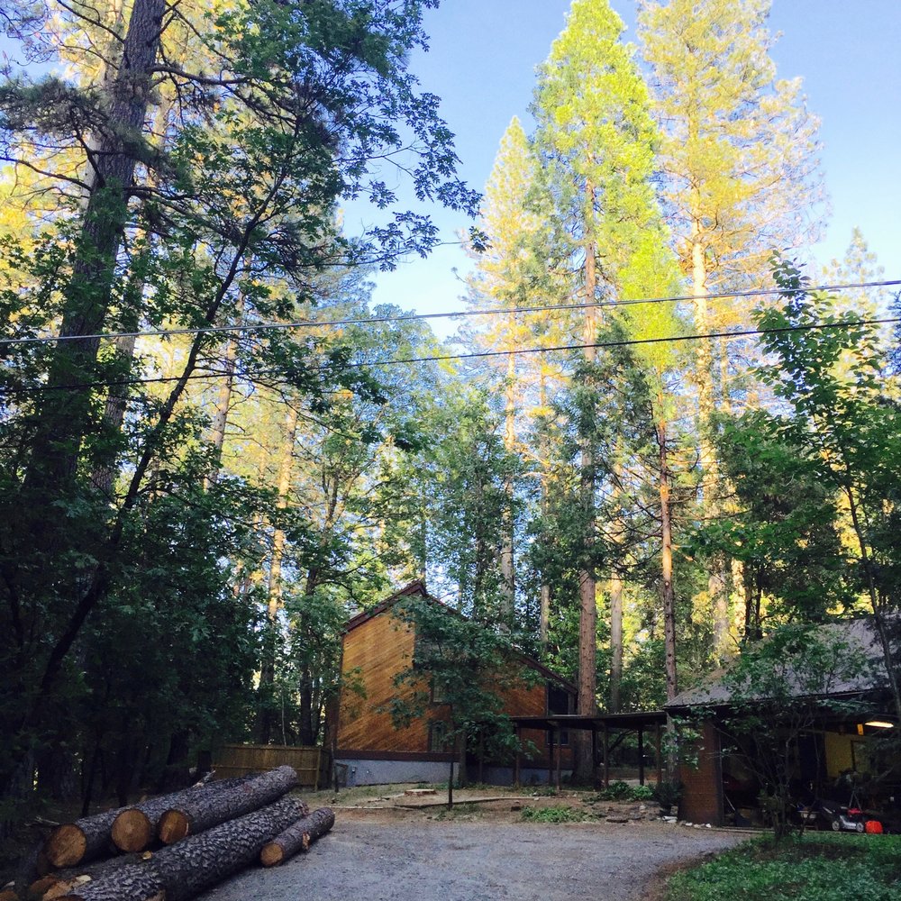 Crown Tree Service - Tree Services Near Me - Nevada City, California Crown Tree Service - Tree Services Near Me - Nevada City, California