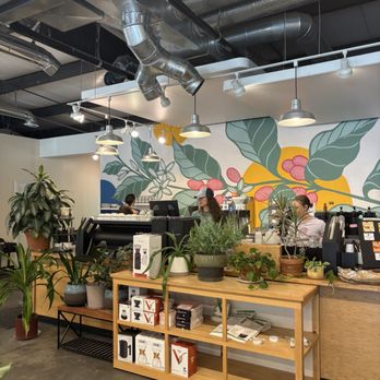 Hatchet Coffee - Coffee Roasteries Near Me - Boone, North Carolina
