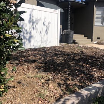 A+ Tree Service - Post tree removal and stump grinding - Tree Services Near Me