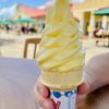 Dole Plantation Grille gift card