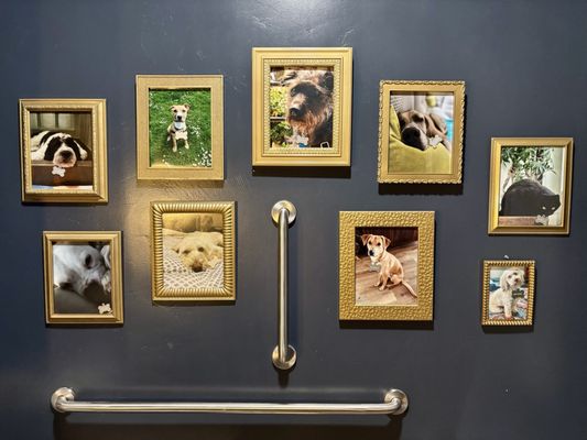 Ken's Artisan Pizza - Bend by null