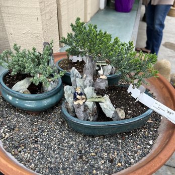 Armstrong Garden Centers - Nurseries & Gardening Near Me - Claremont, California Armstrong Garden Centers - Nurseries & Gardening Near Me - Claremont, California