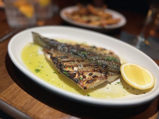 Matu by null Matu by null