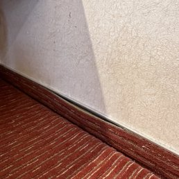 Carpet near the bathroom Carpet near the bathroom