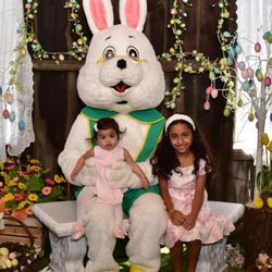 Perfect Day Photography - Easter Bunny Session (2026)