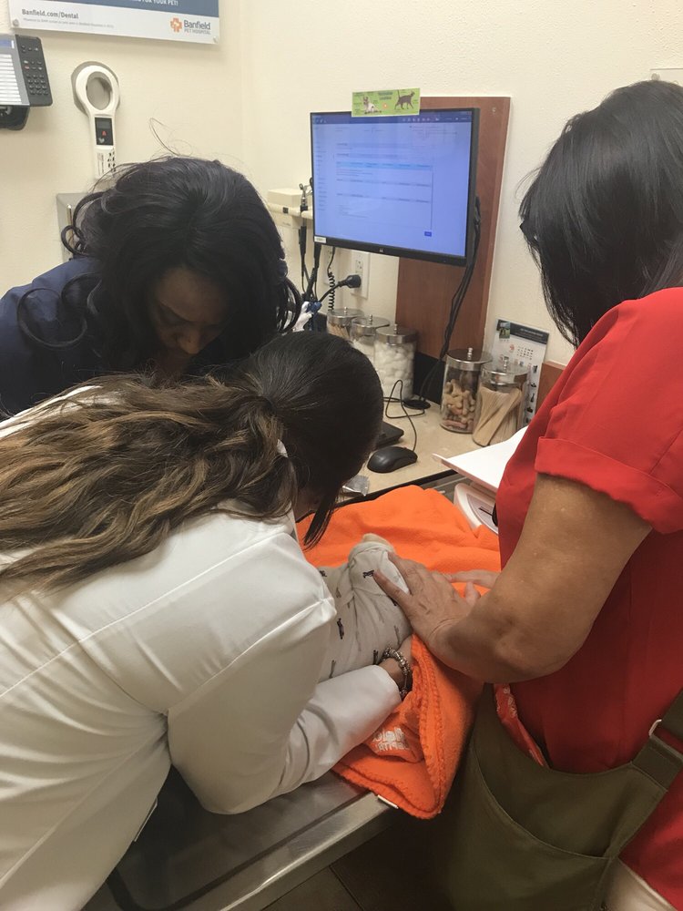 banfield waterford lakes