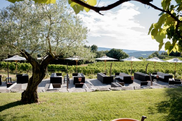 Les Vignes & Son Jardin by null