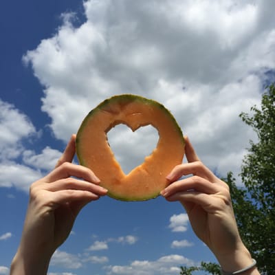 Lancaster Farm Fresh Cooperative by null