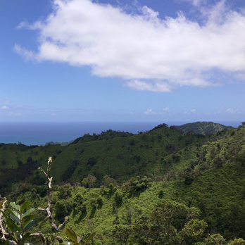 Laie Falls - More views - Hiking Near Me