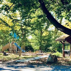 Canby Grove Park - Canby Grove Park playground