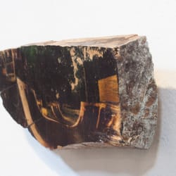 Kristen Crouch Fine Art - Image transfer to found wood