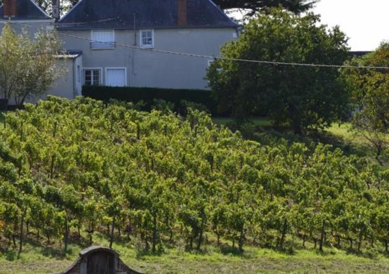 Vinology Bottle Shop + Tasting Bar by null