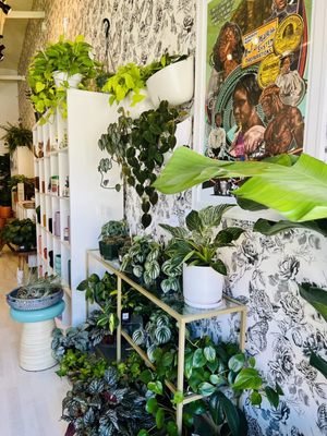 The Botanical Bar by null