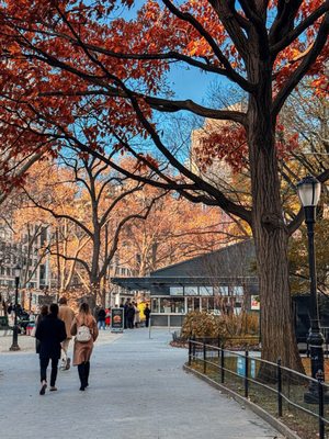 Madison Square Park by null
