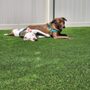 Photo of Bold Turf Co