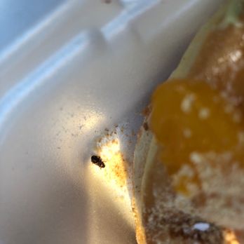 Painted Dough - Peach Cobbler - Donuts Near Me - Chino, California Painted Dough - Peach Cobbler - Donuts Near Me - Chino, California